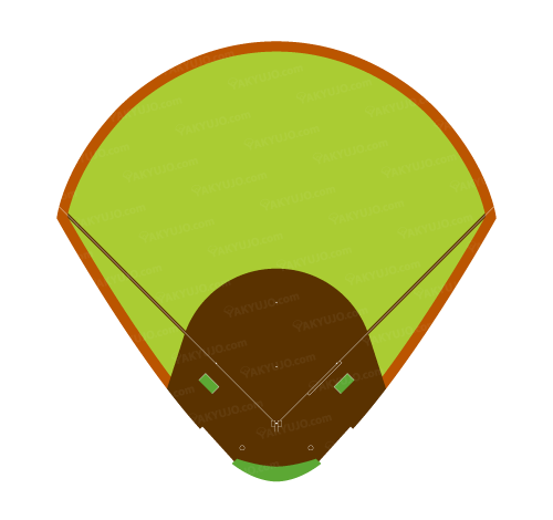 鹿児島県立鴨池野球場