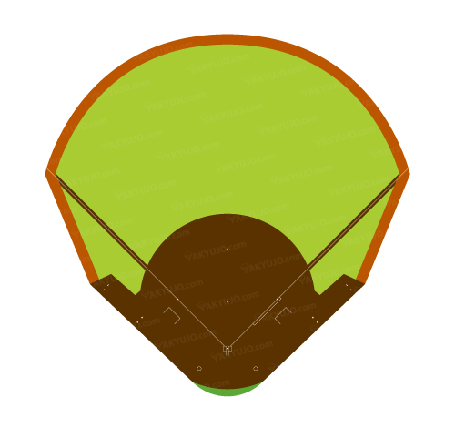 藤崎台県営野球場